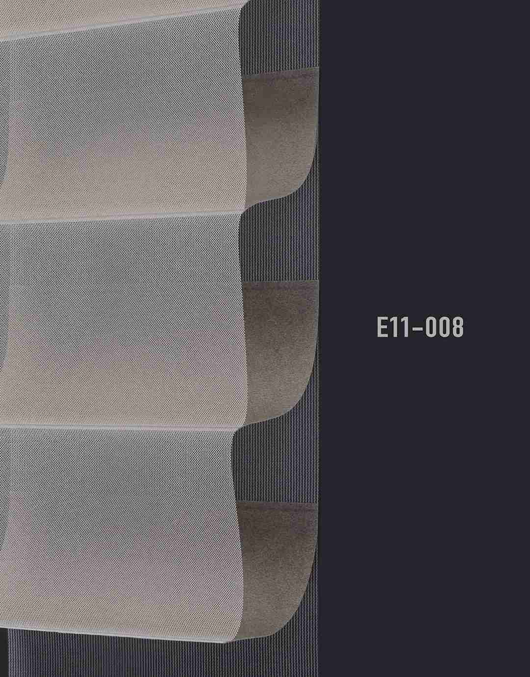 E11 008 img