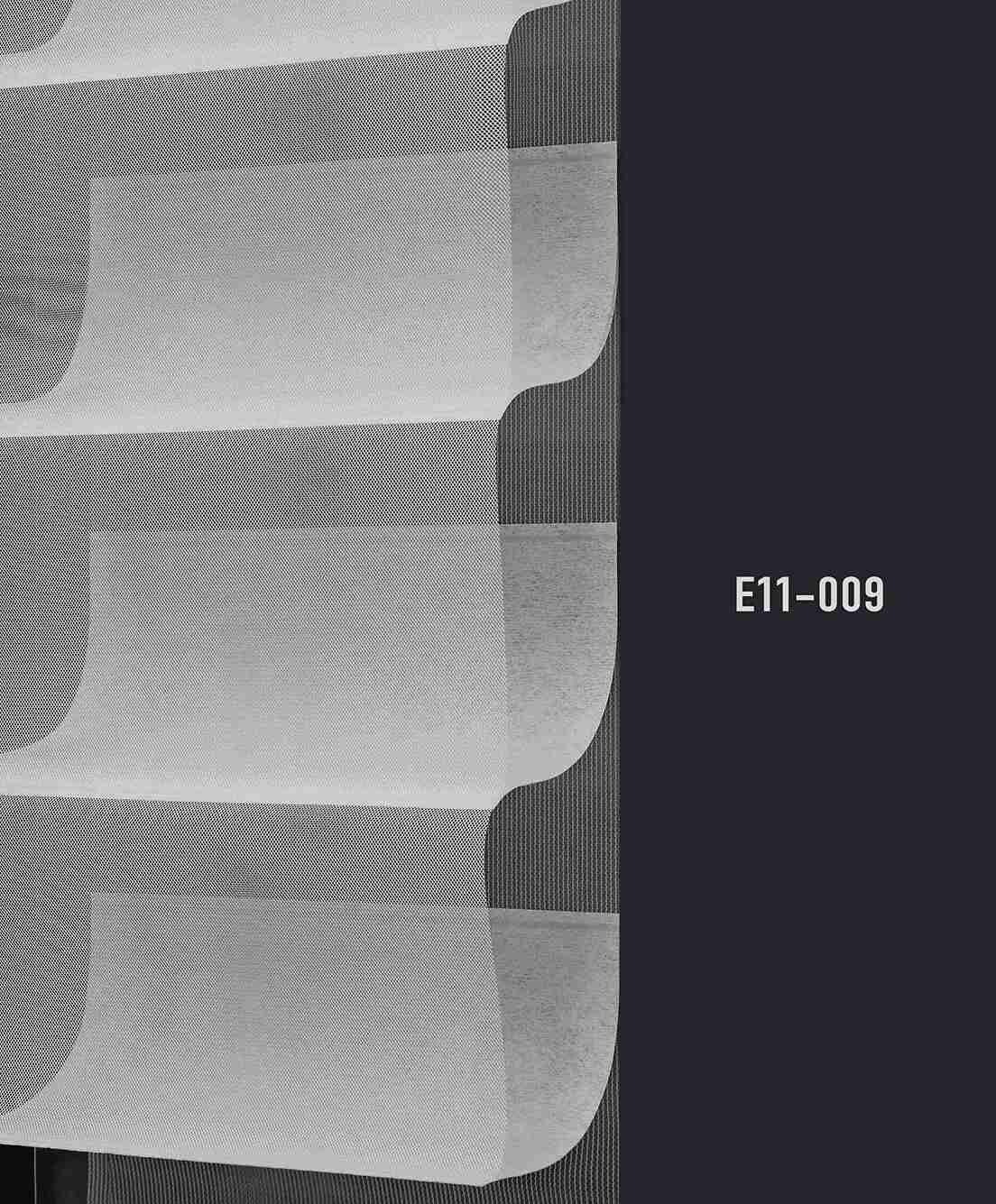 E11 009 img