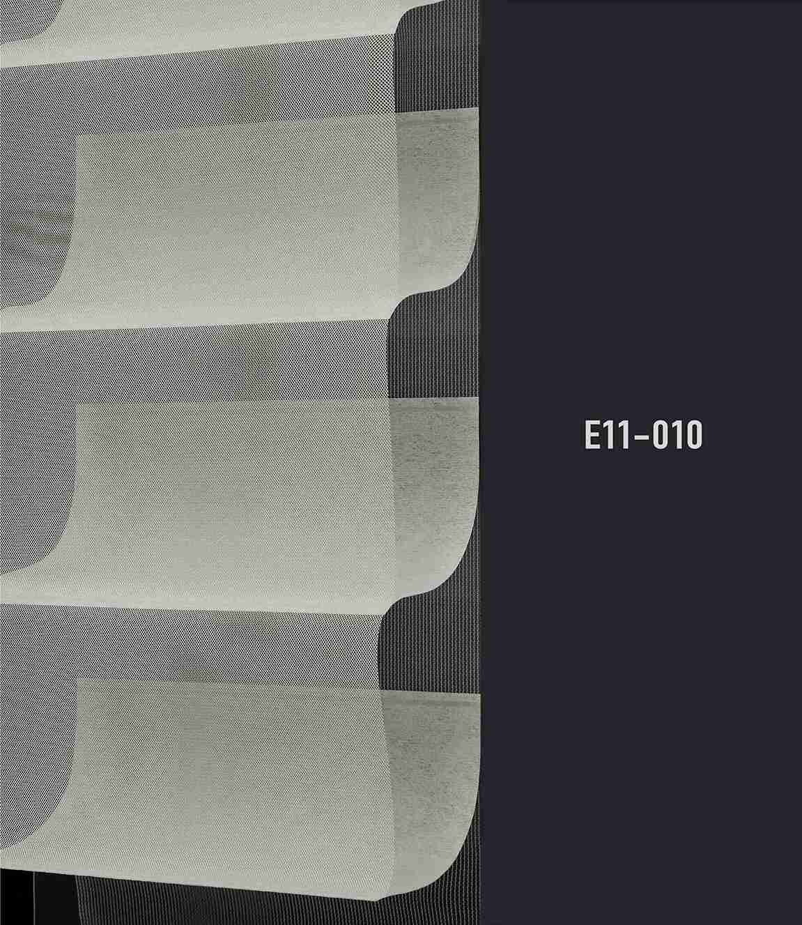 E11 010 img