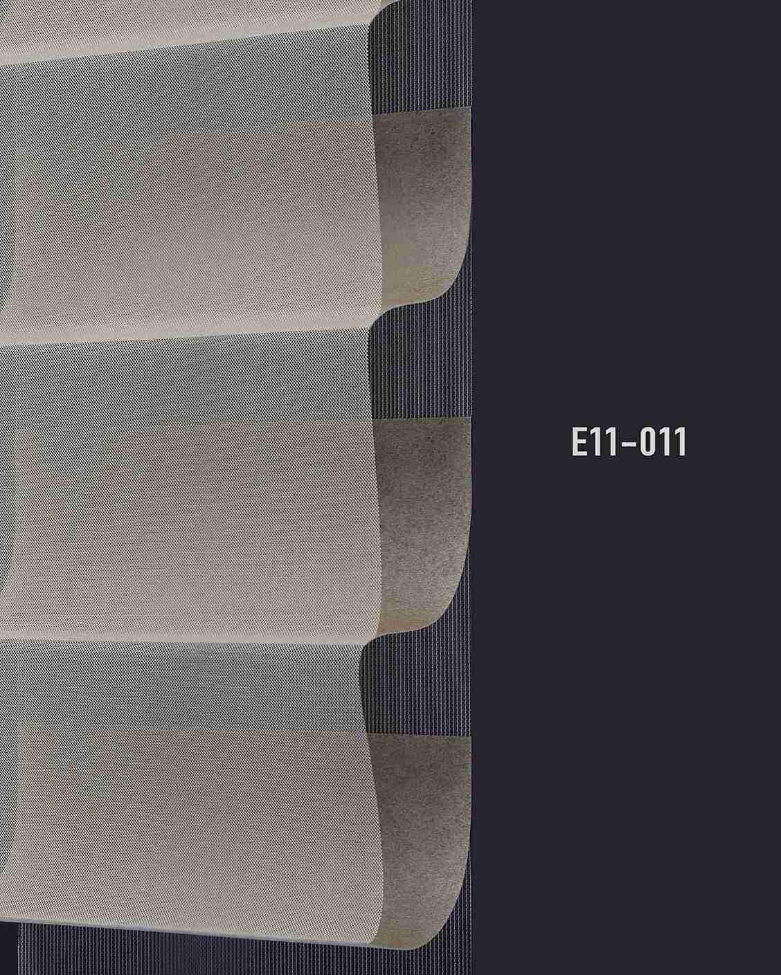 E11 011 img