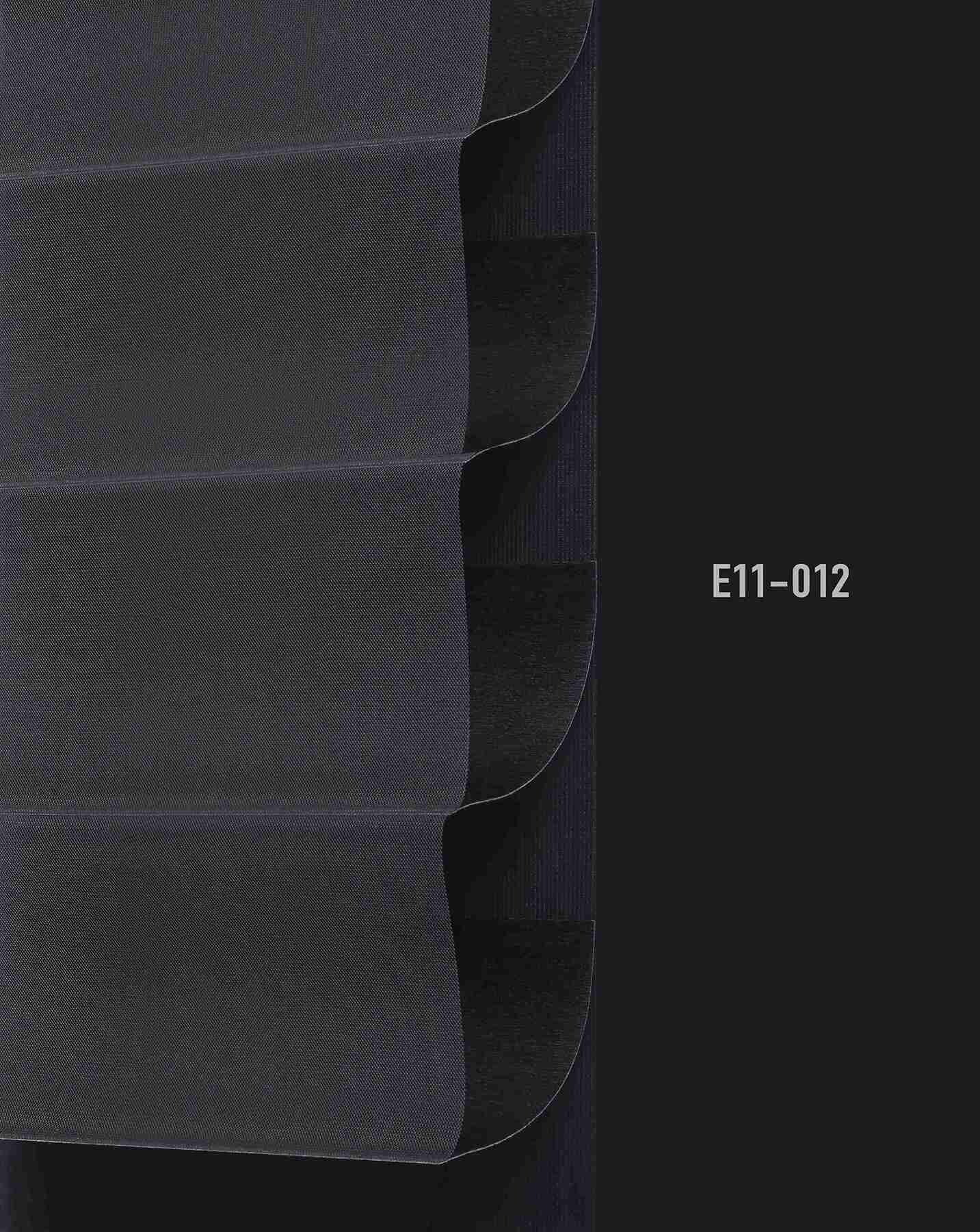 E11 012 img