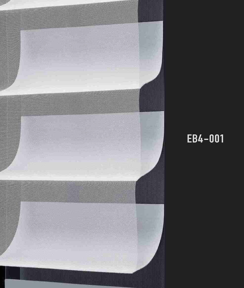 EB4 001 img