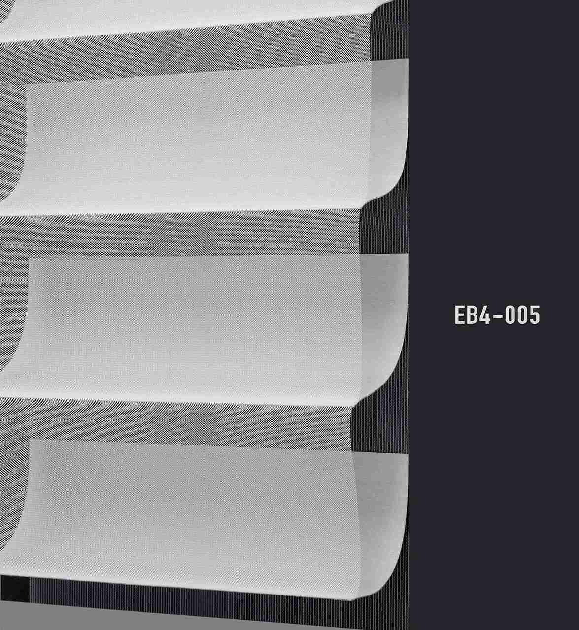 EB4 005 img