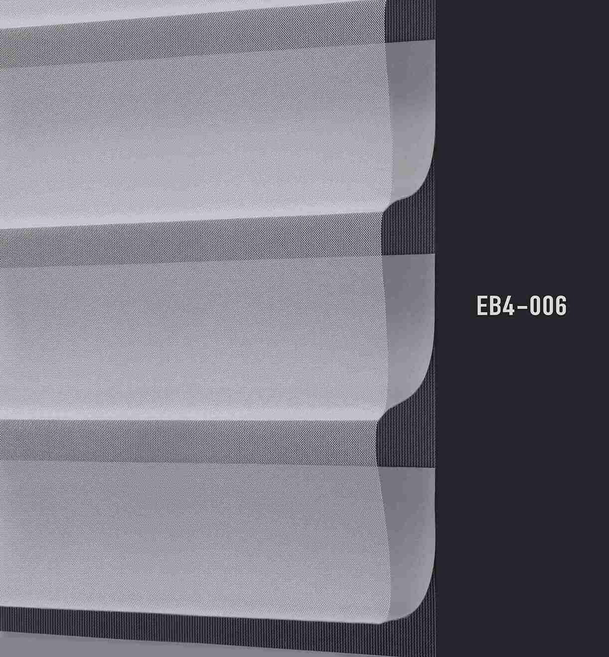 EB4 006 img