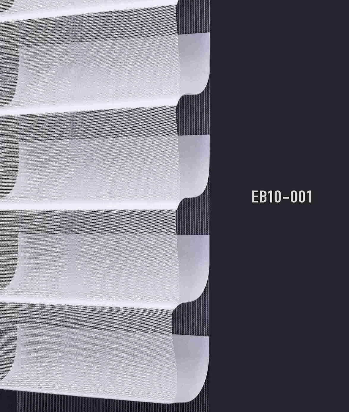 EB10 001 img