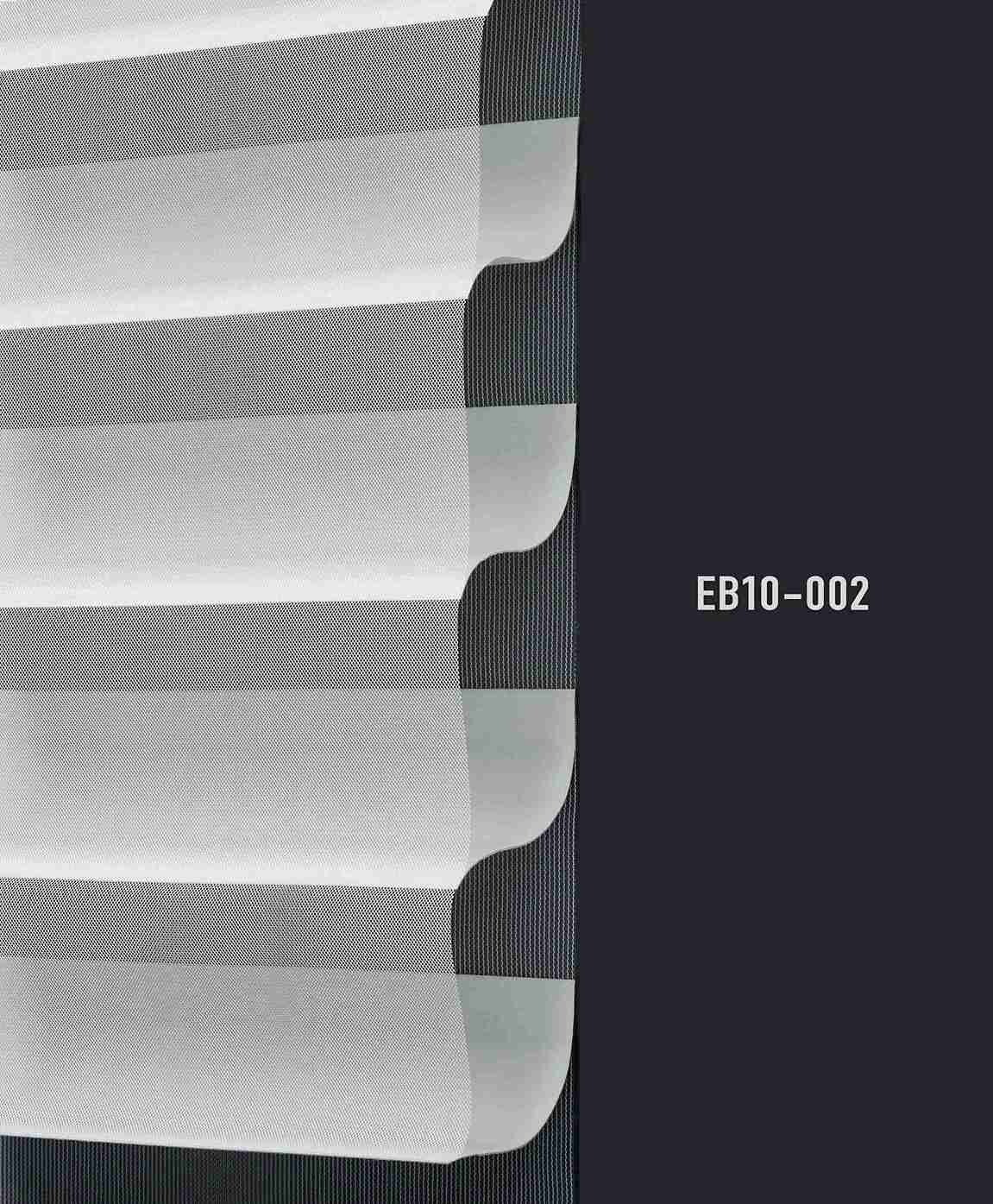 EB10 002 img