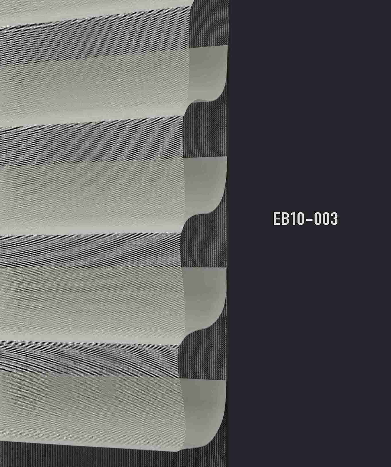 EB10 003 img