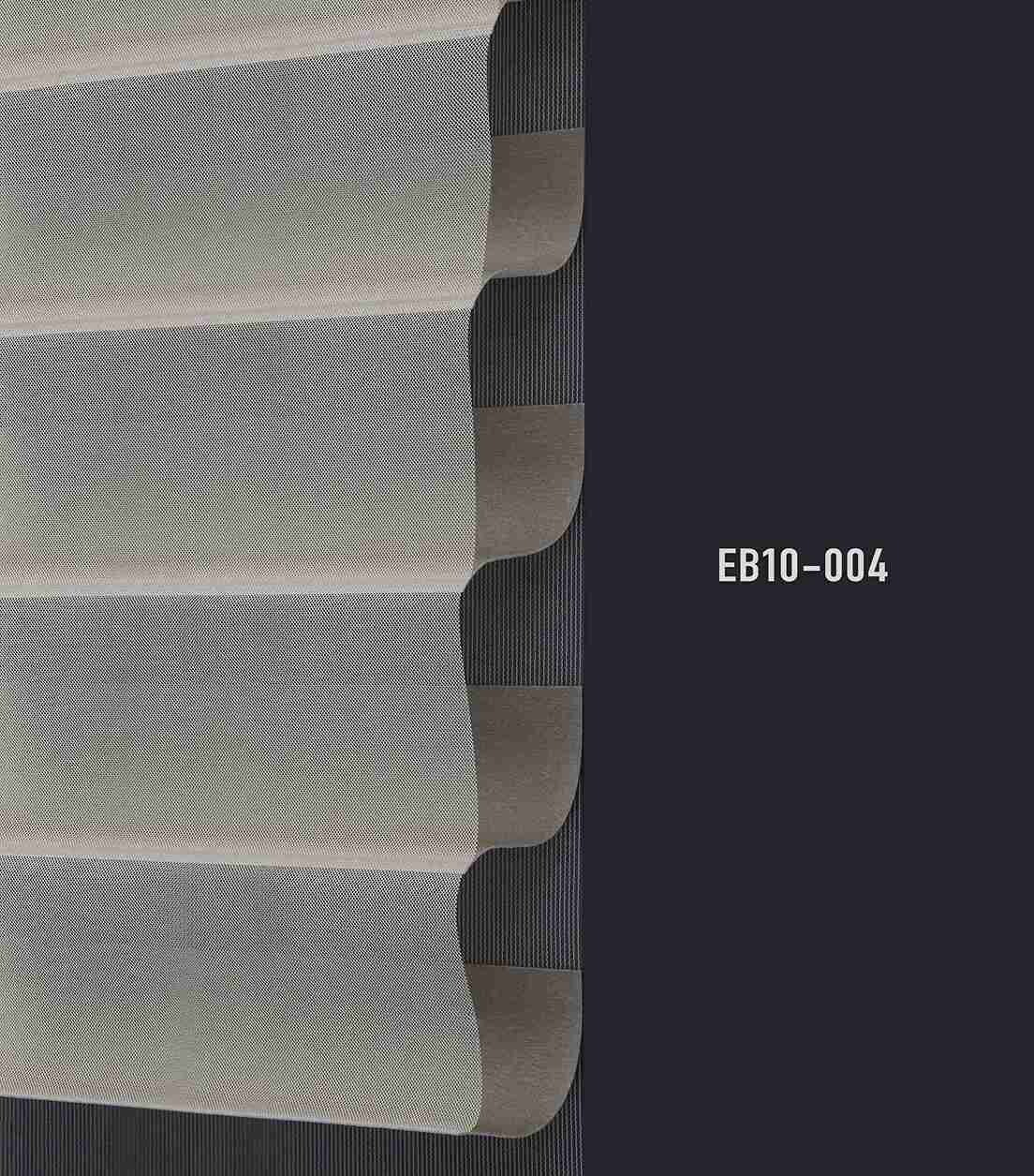 EB10 004 img