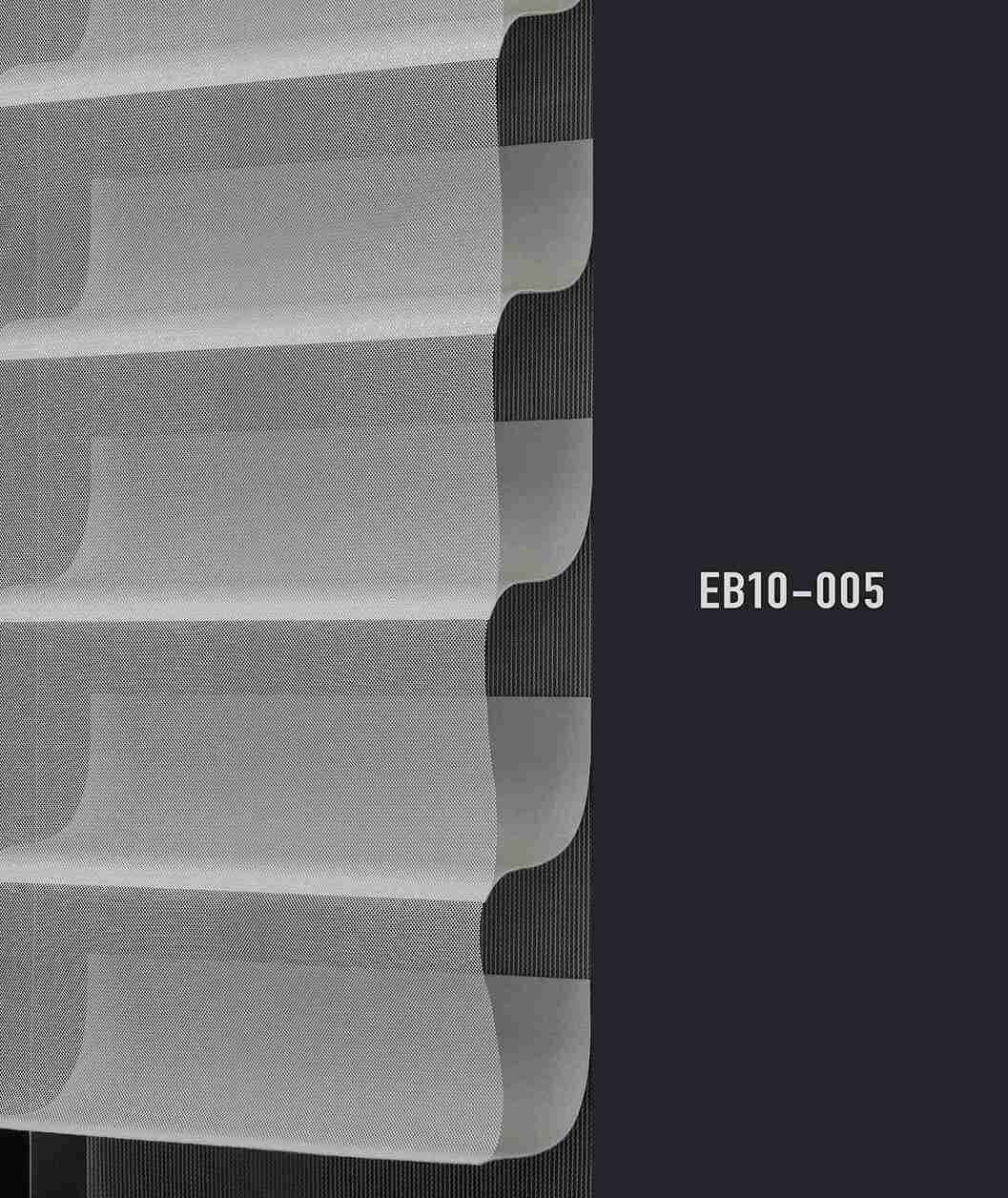 EB10 005 img