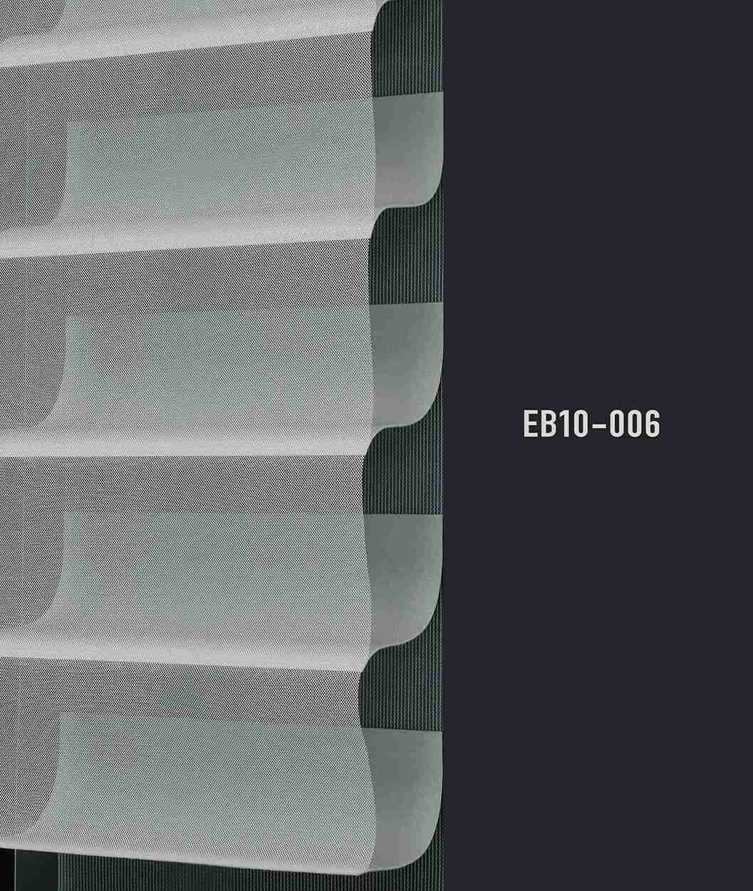 EB10 006 img