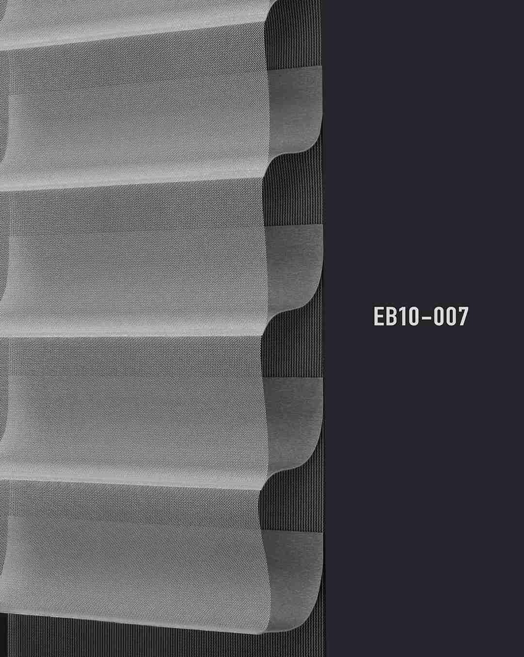 EB10 007 img