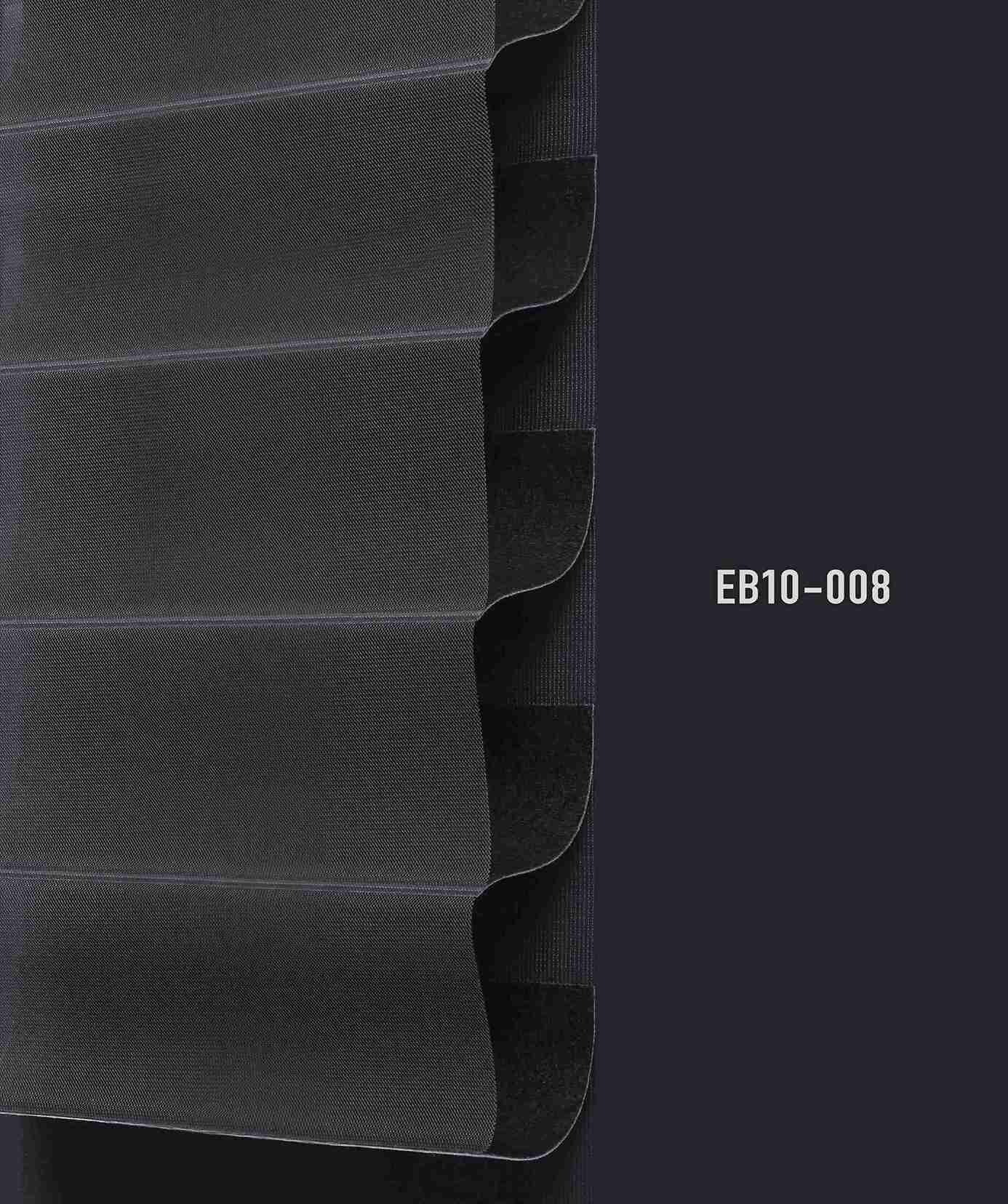 EB10 008 img