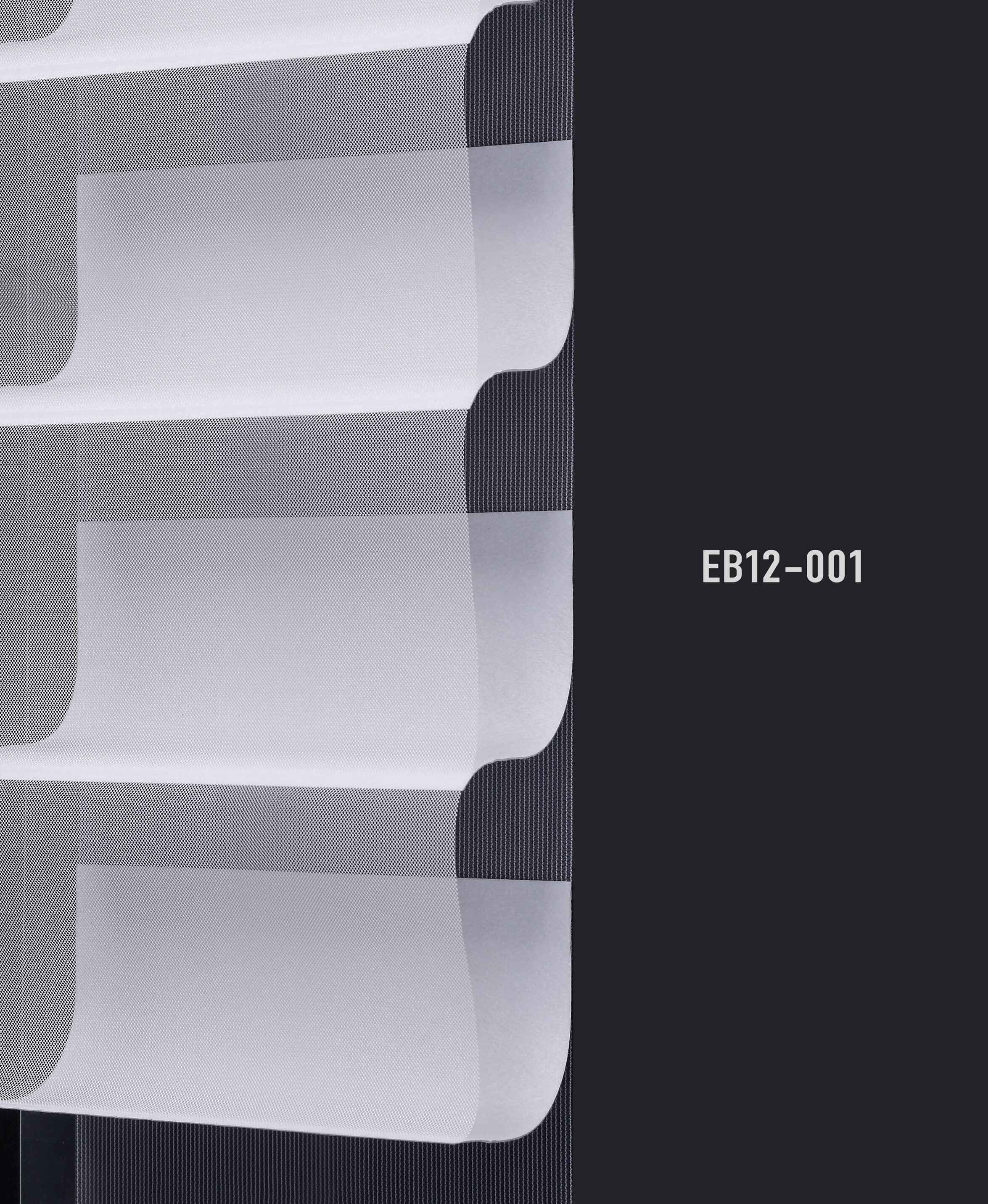 EB12 001 img