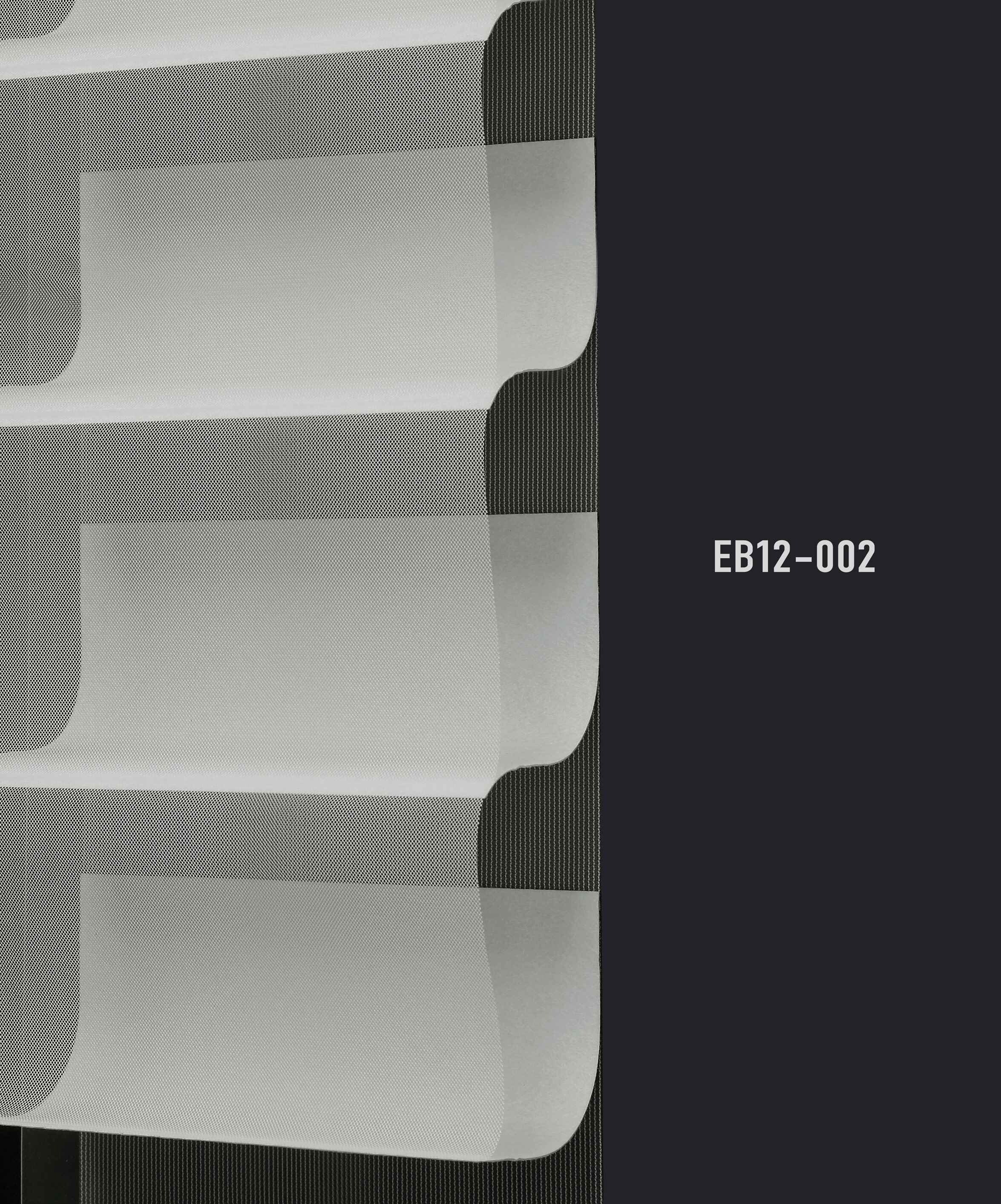 EB12 002 img