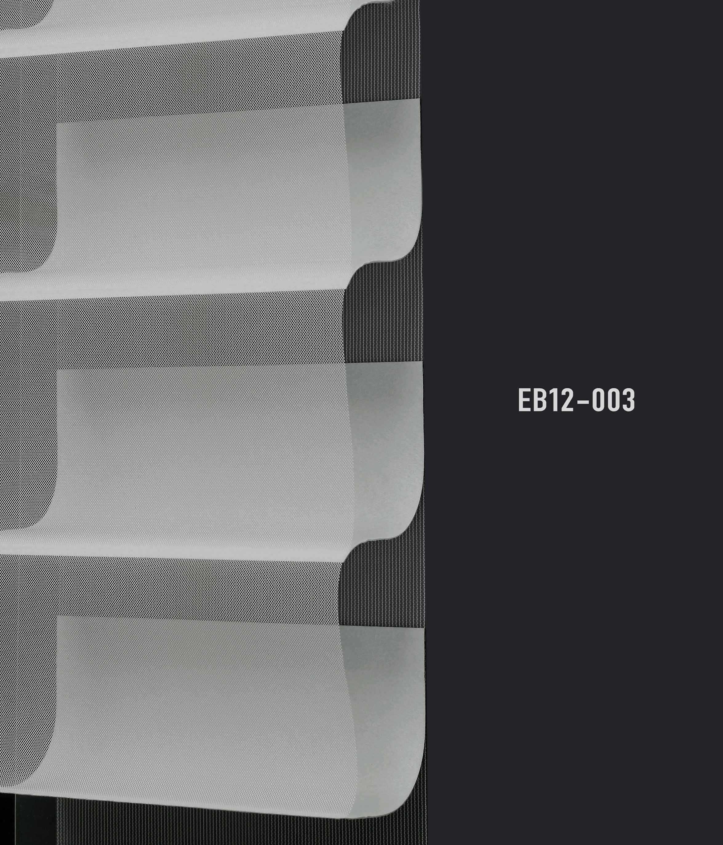 EB12 003 img