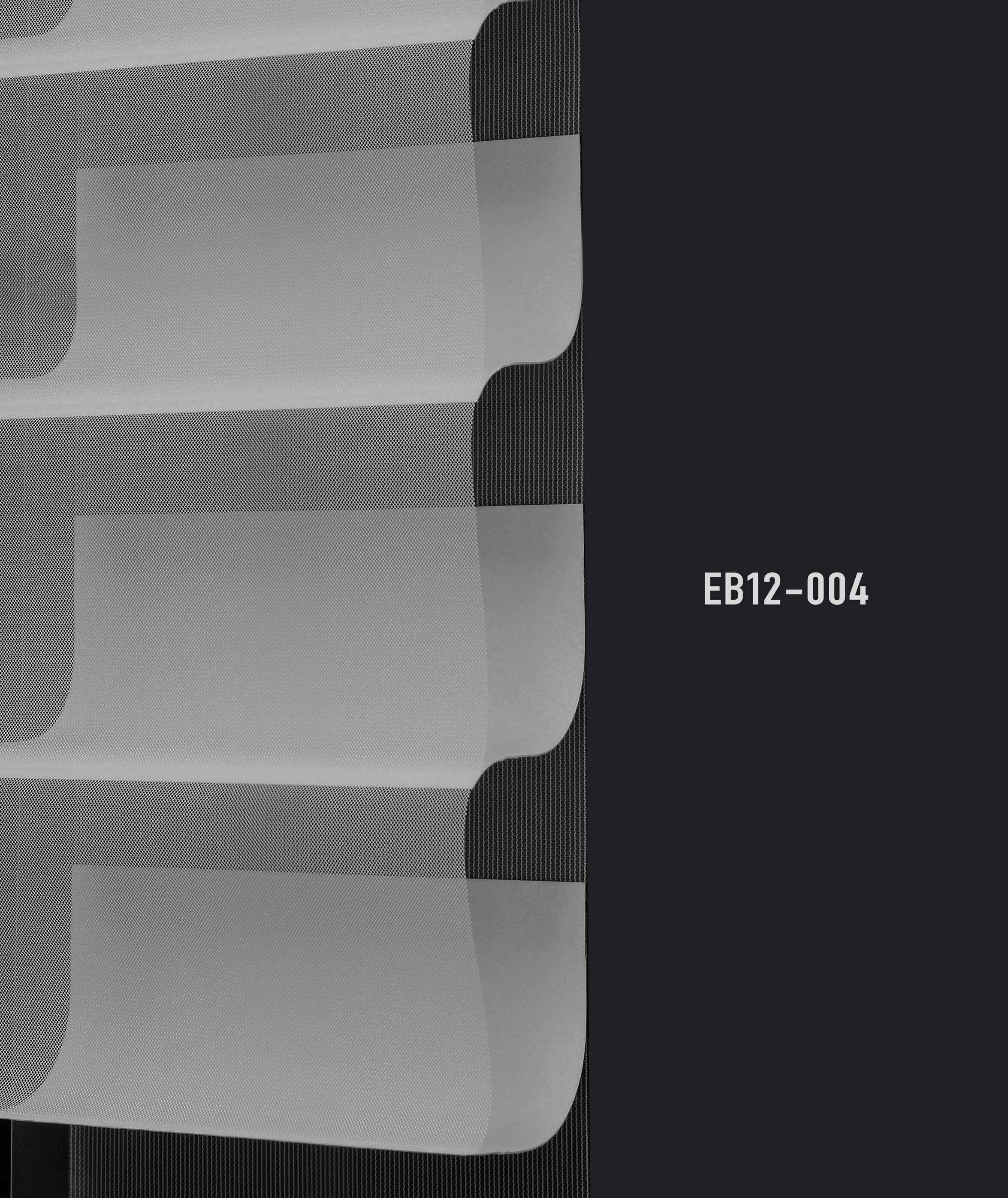 EB12 004 img