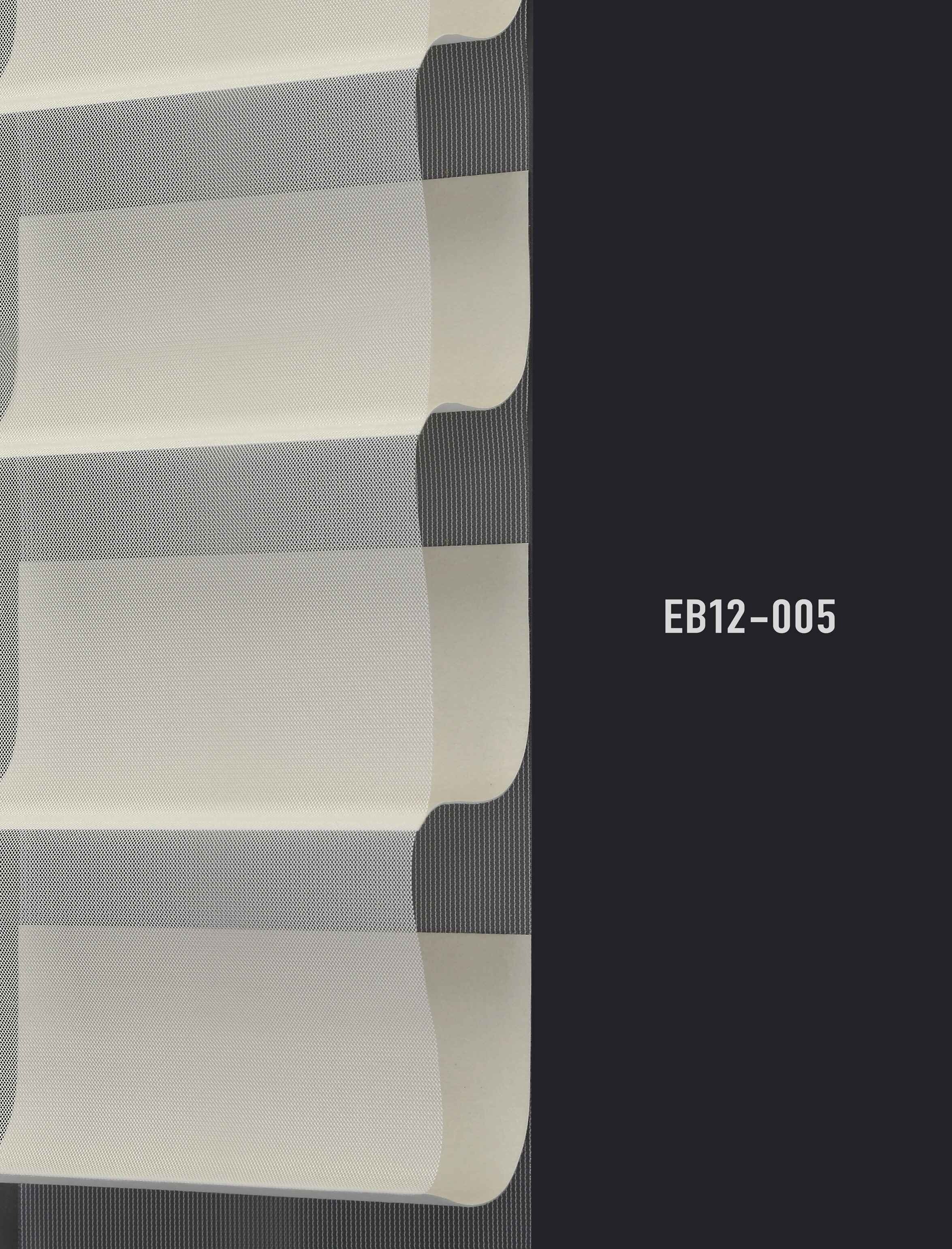 EB12 005 img