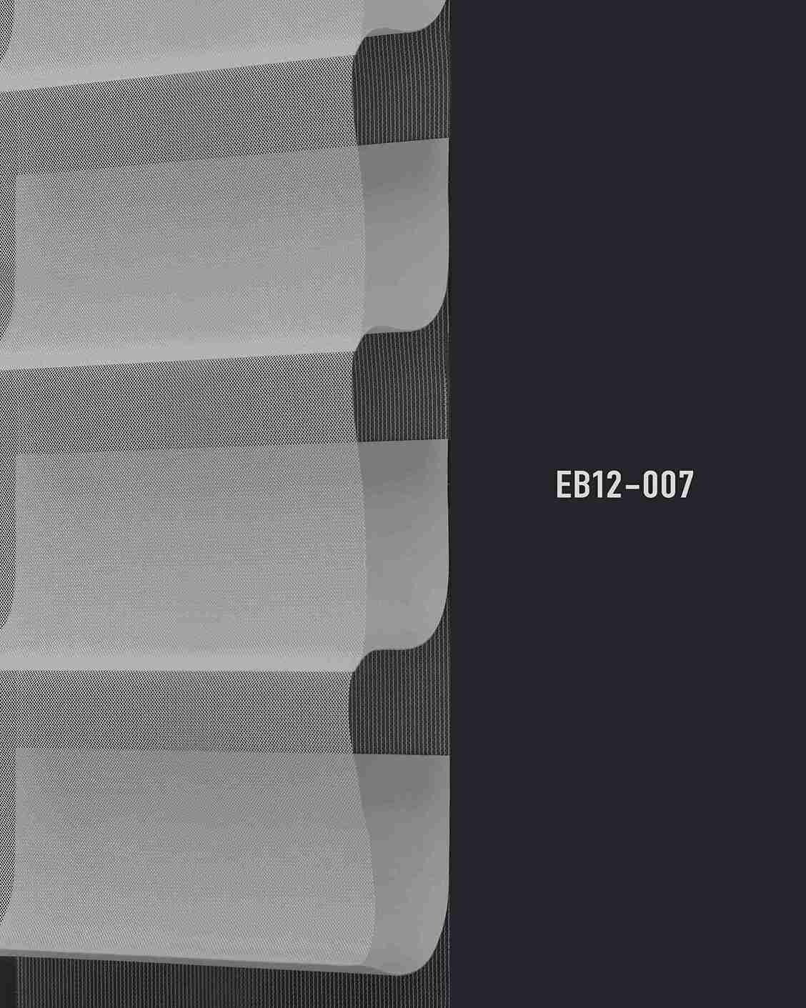 EB12 007 img
