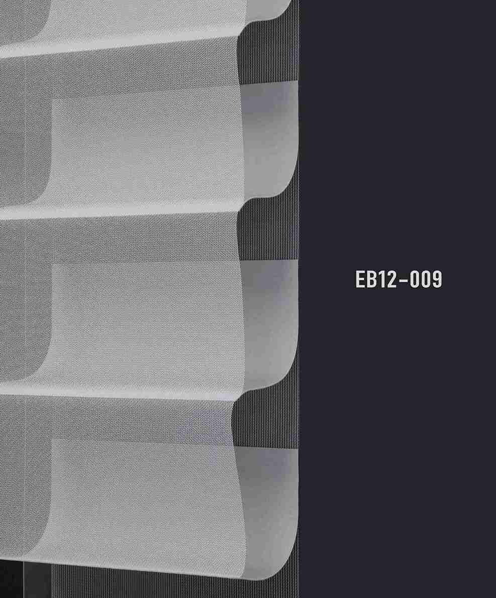 EB12 009 img