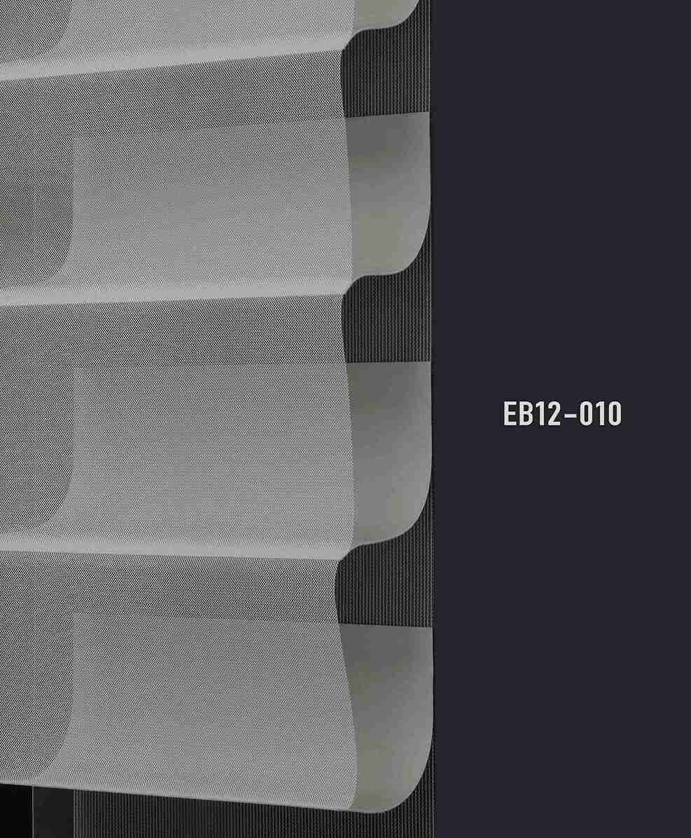 EB12 010 img
