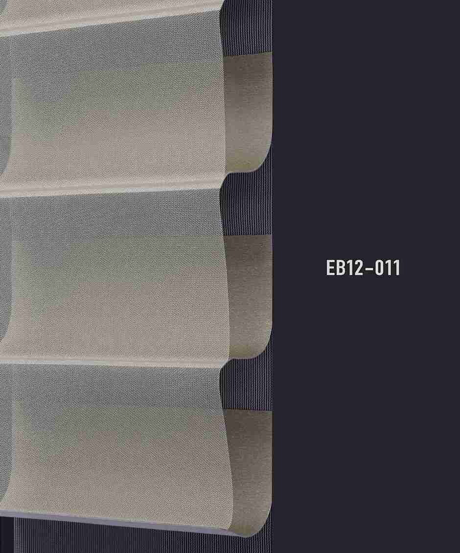EB12 011 img