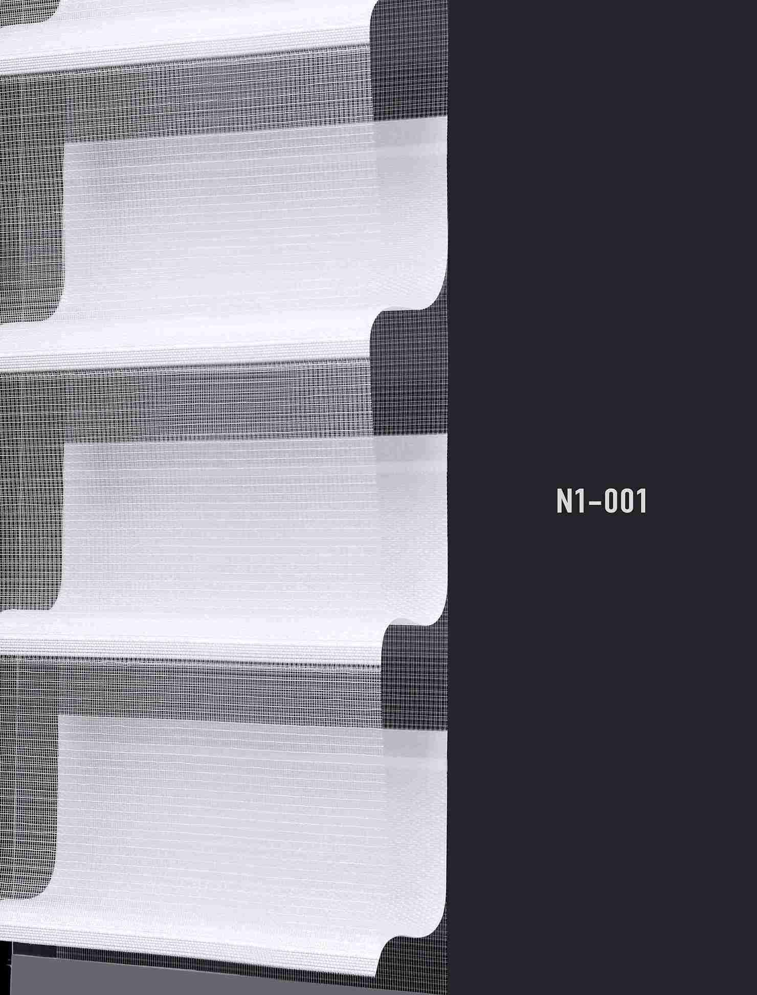 N1 001 img