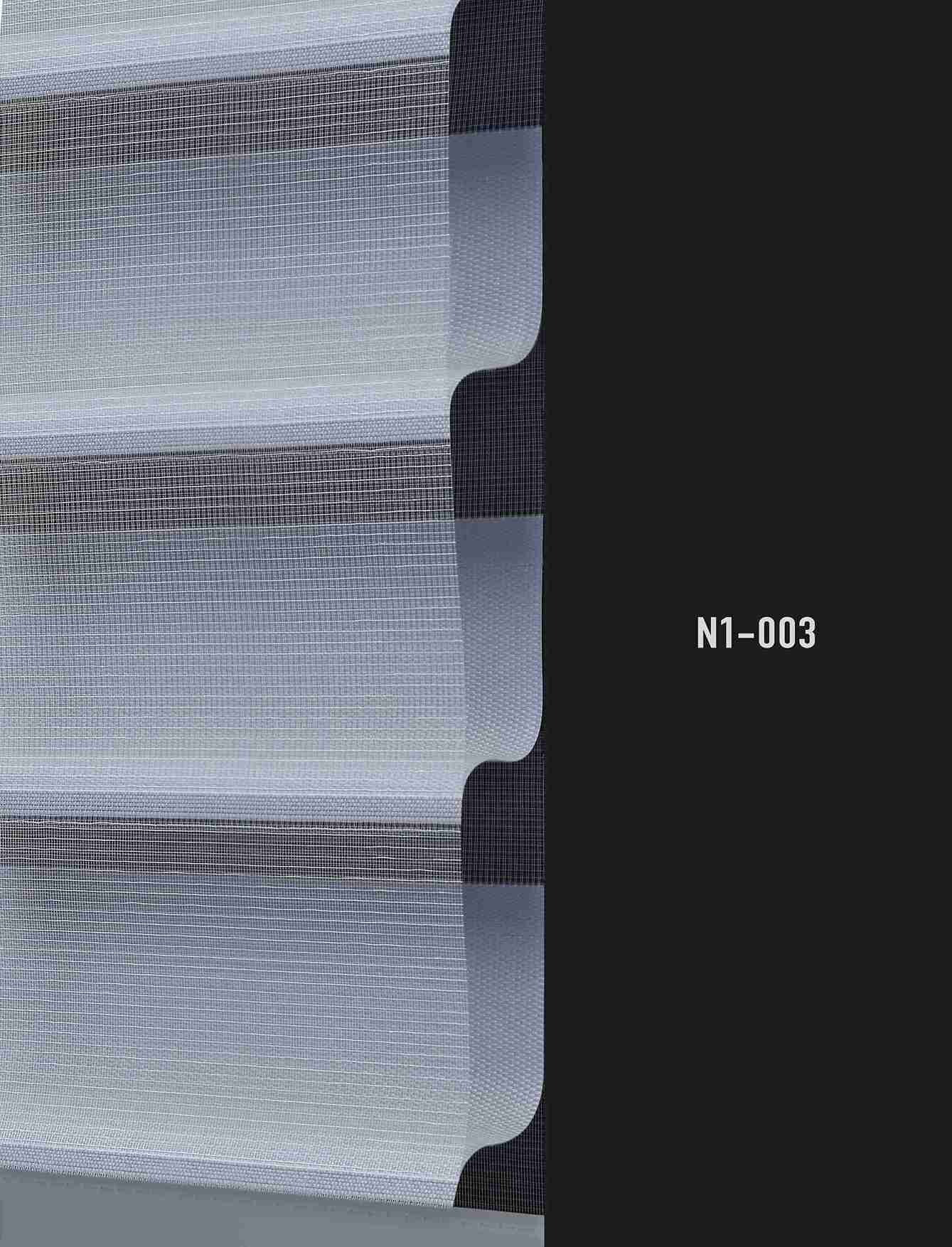 N1 003 img