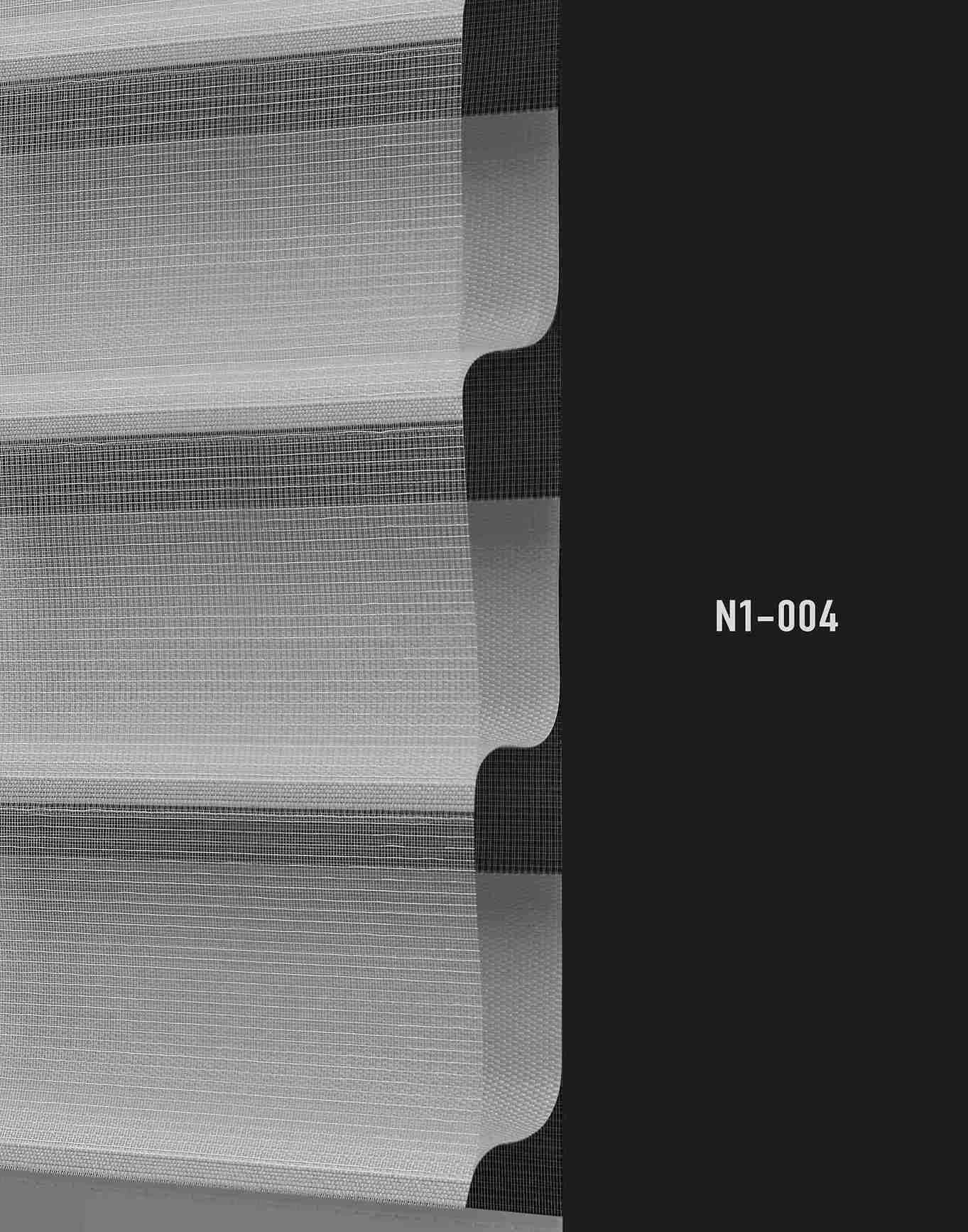 N1 004 img