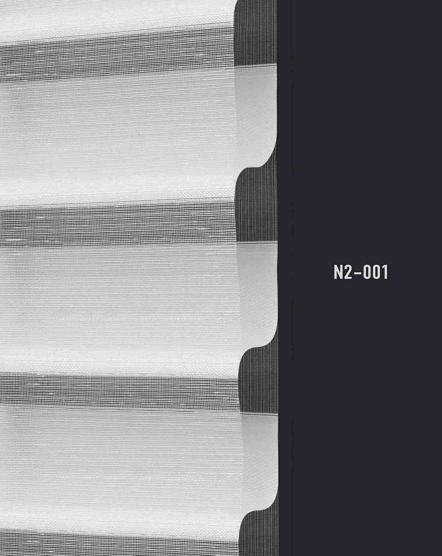 N2 001 img