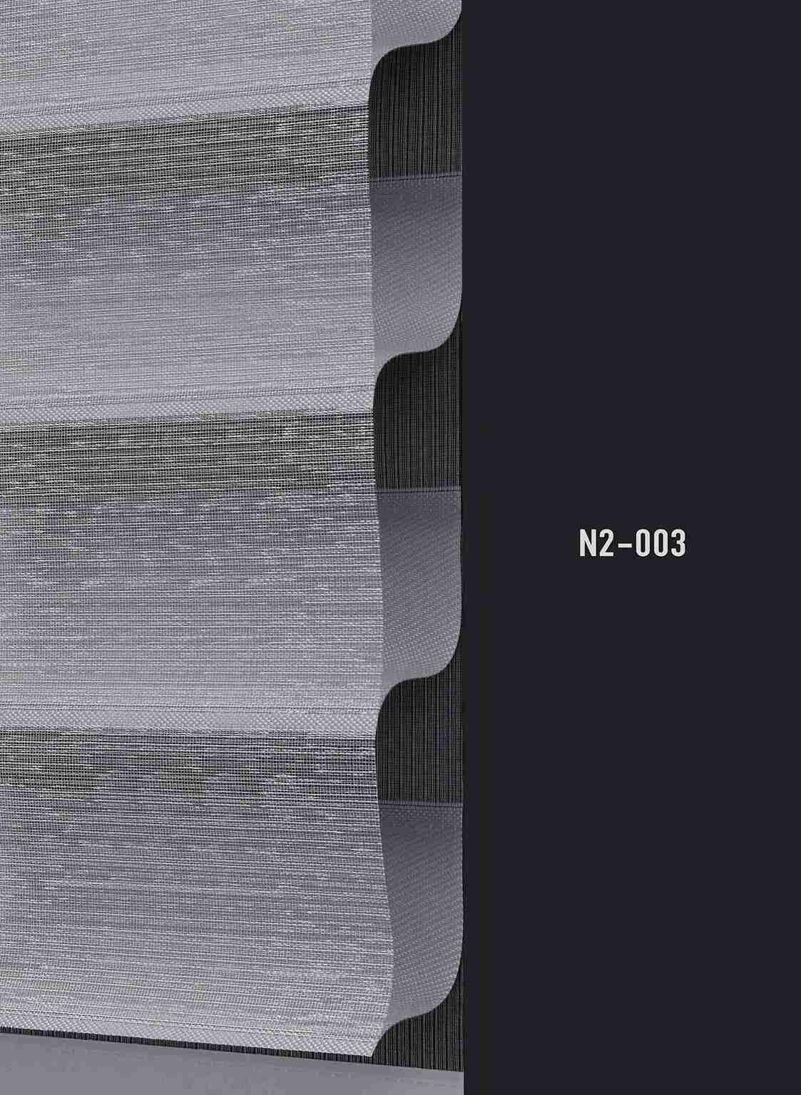 N2 003 img