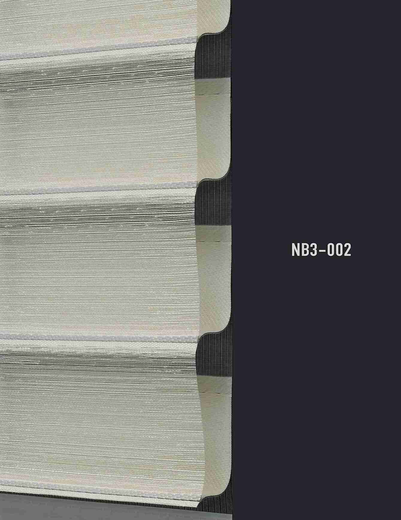NB3 002 img