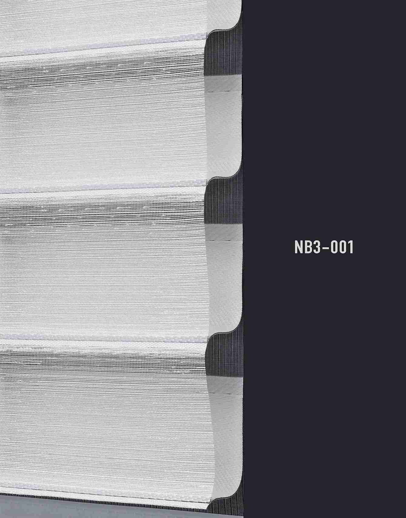 NB3 001 img