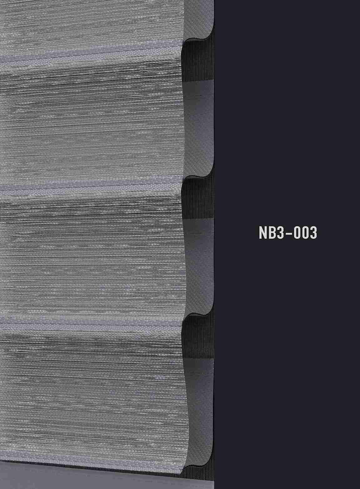 NB3 003 img