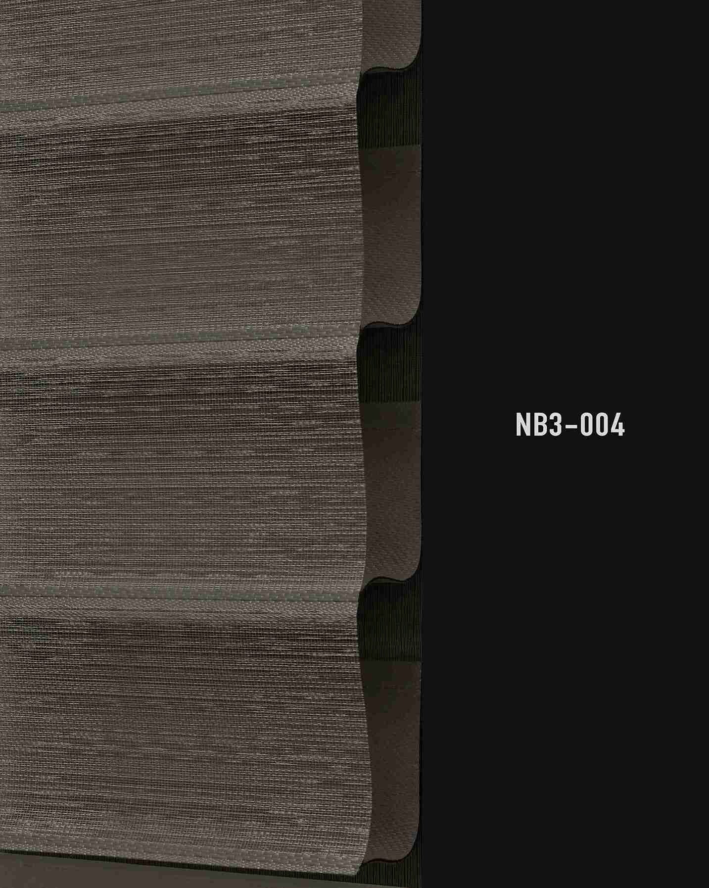 NB3 004 img