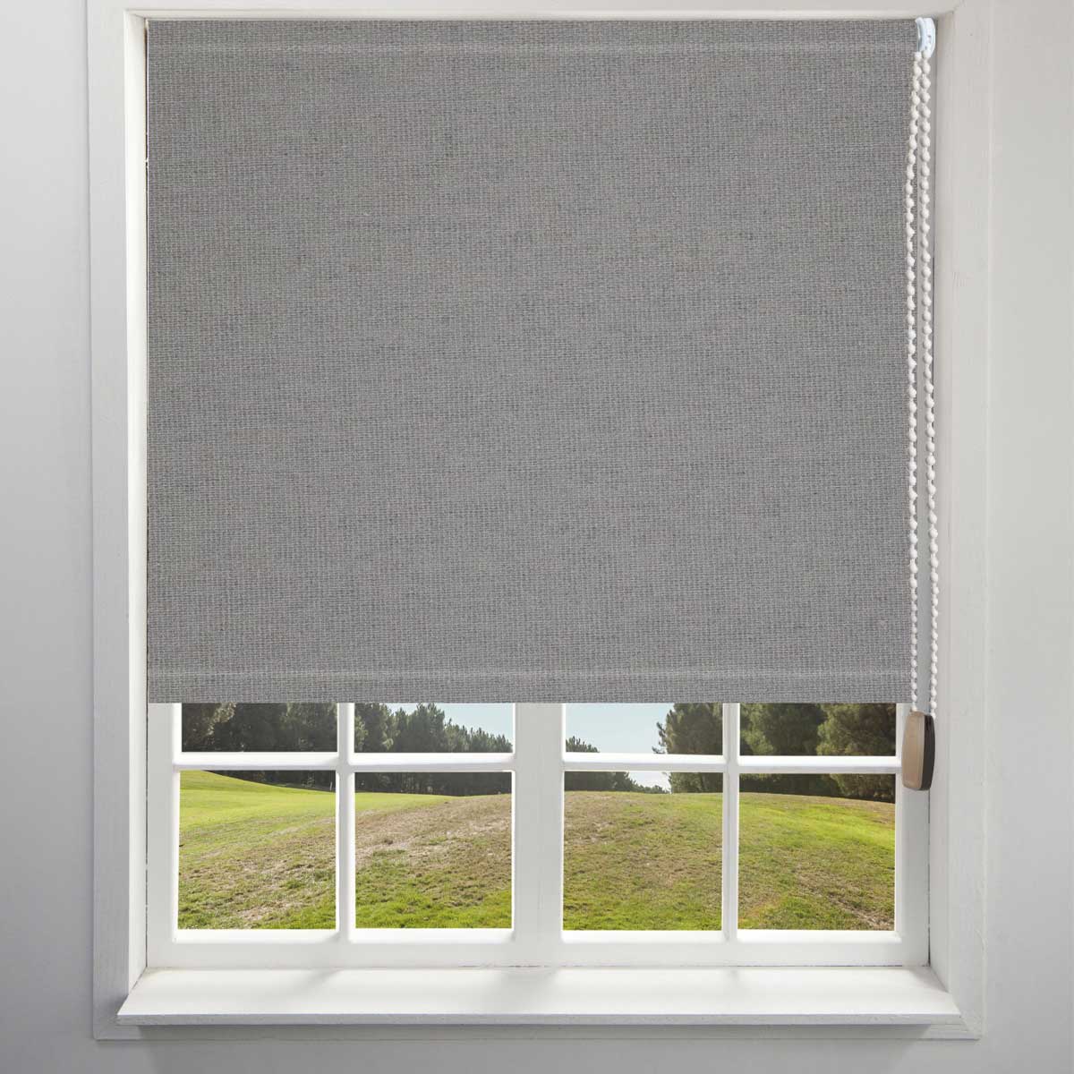 Designer & Blackout Roller image