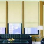 Designer & Blackout Roller left