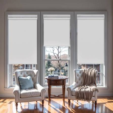 Solar Roller Shades right