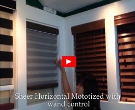 Video Thumbnail Image