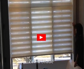 Video Thumbnail Image